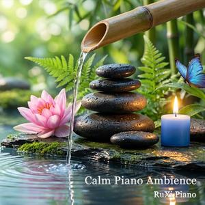 Calm Inner Space