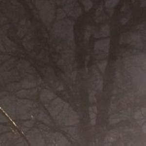 That's some squid, Kid