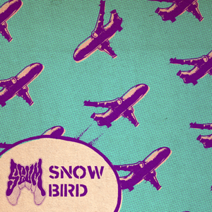 Snow Bird