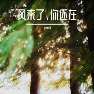 风来了，你还在(prod.by Morrow)