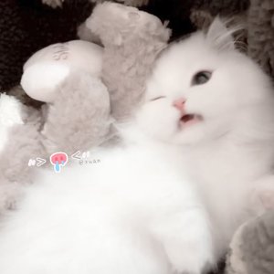 you