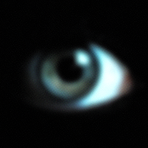 vision