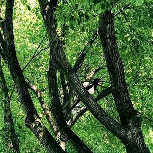 我在想你—Prod.by JUN3