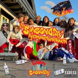 31 SinsenCity Hjemmesnekken