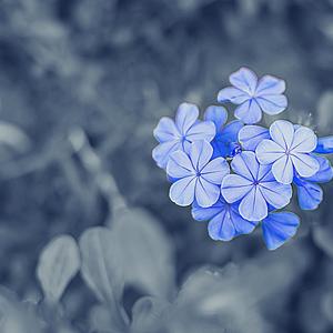 Sippy Cup (feat. Concern)