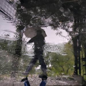 今日 雨