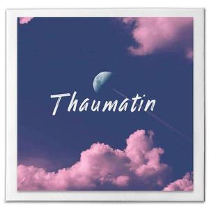 索马甜 Thaumatin