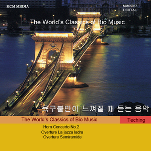 Horn Concerto No.2 in E flat major K417 2nd.Andante
