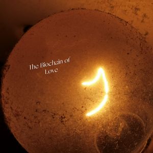 The Biochain of Love（Prod.by BLACKFAT洪汝超）