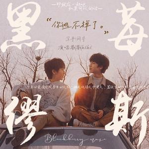 黑莓缪斯（【翔霖】原著黑莓缪斯by问宁 已授权）