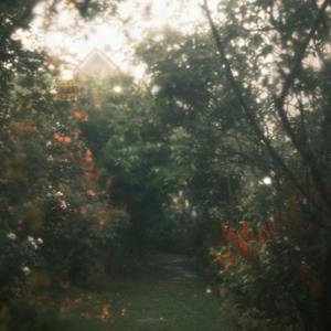 Neurosolace