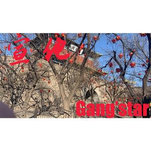 Tupac-宣化GANGSTAR（VFLY意气风发 remix）