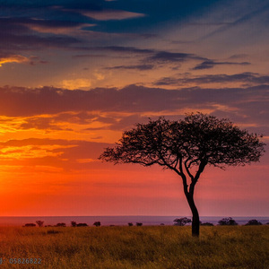 EALOUSY & TAMALE DJ VEGAS REMIX（DJ VEGAS REMIX）