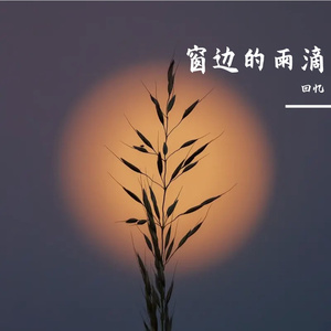 窗边的雨滴