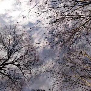 一万次悲伤（翻自 徐歌阳）