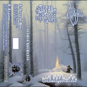 The Forces of Entropy Profane the Very Ground We Tread