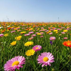 오늘이 좋은 날이야