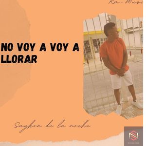 No Voy a Llorar