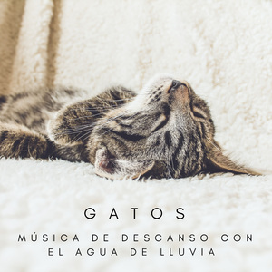 Música Calmante Con Cachorritos
