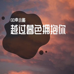 越过暮色拥抱你