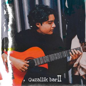 花容月貌-Bir Guzal（纪念版）