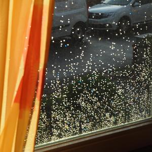 Dei Grønne Enkers Melodi