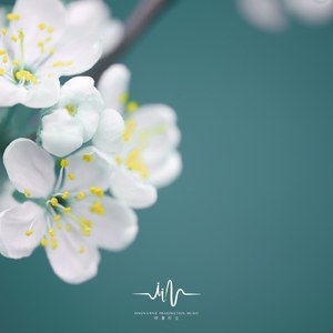 水流天下 (舒缓轻松曲)