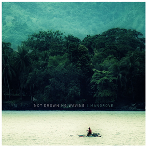 Mangrove