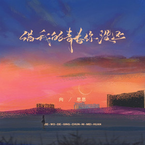 借我的青春你没还