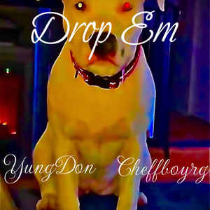 Drop Em (feat. Cheffboyrg)