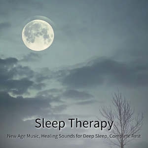 ヒーリング-寝落ち専用BGM-