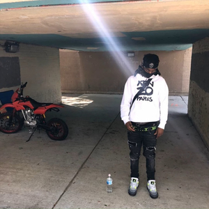 Ba$ic Bitch
