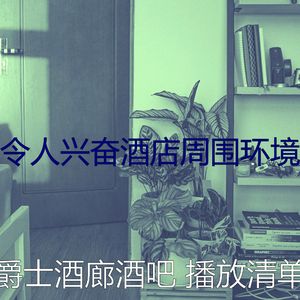 优美酒店大堂器乐