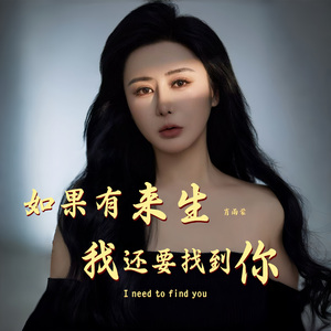 如果有来生我还要找到你 演唱