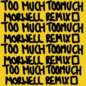 Too Much (Morwell remix)