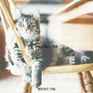 微妙的放松的猫心情