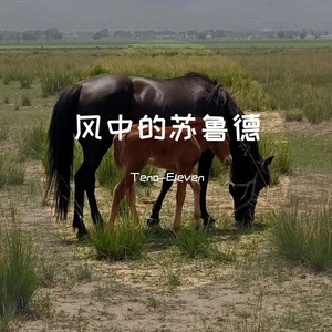 风中的苏鲁德（拾壹TENO-LEE Remix）