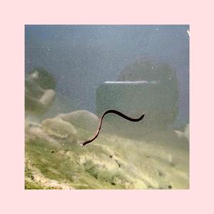 מטורף לעומרי (שני החלקים)