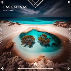 Las Salinas