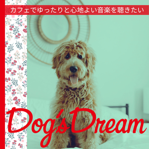 The Caffeine Afternoon