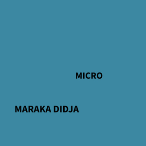 Micro