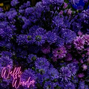 Waffle Wonder