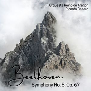 Symphony No. 5, Op. 67:I. Allegro con brio
