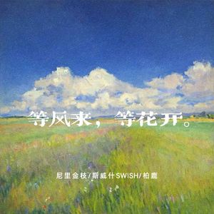 等风来，等花开。
