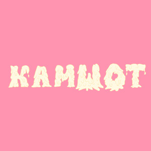 Камшот