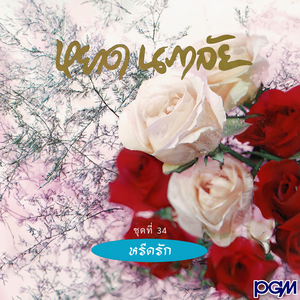 รักคุณเข้าแล้ว