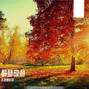 醉梦故游-不知道的风