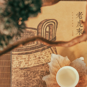 奇幻森林奇遇精灵