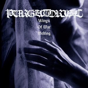 Wings Of Wax Melting