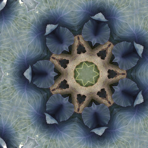 Dans ces fréquences qui semblent infinies